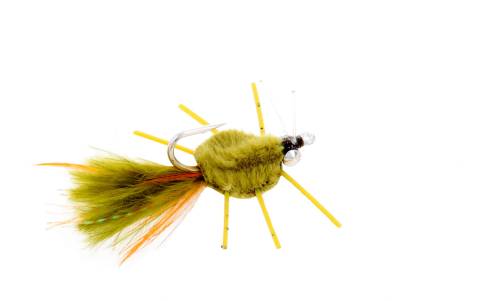 Raghead Crab - Olive